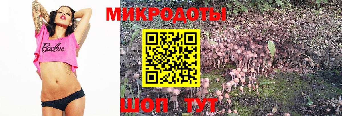 Галлюциногенные грибы Cubensis Надым